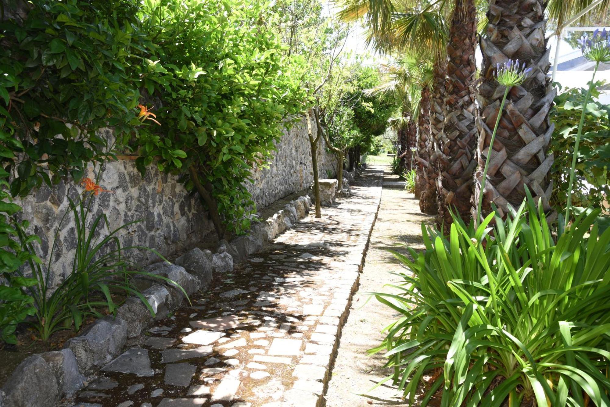 Tenuta Oliva Fisciano Exterior foto