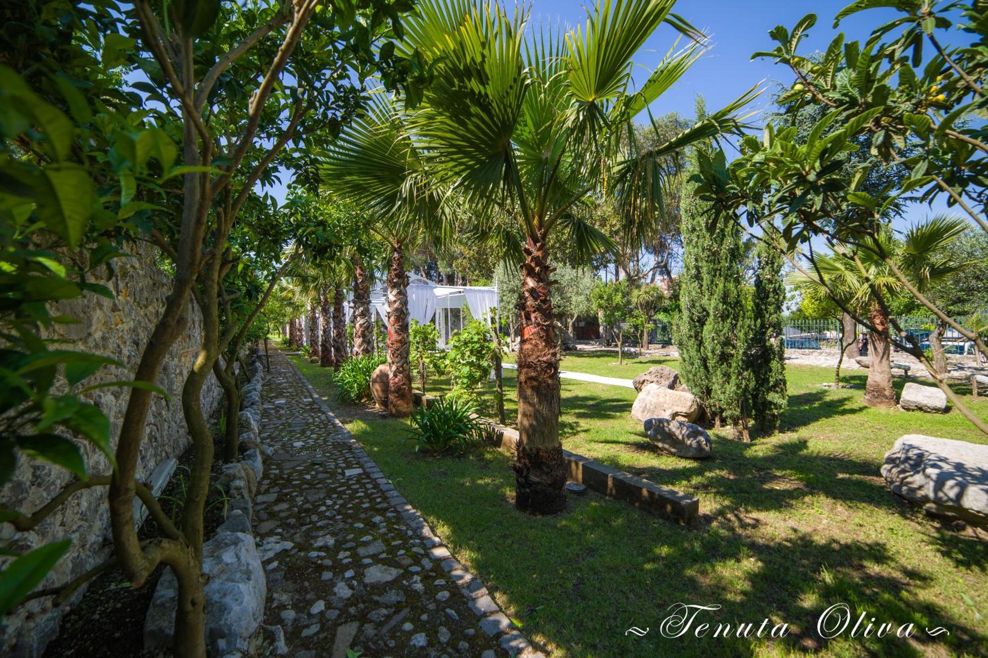 Tenuta Oliva Fisciano Exterior foto